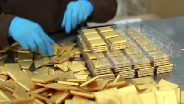 Sorok Csokoládé Által Gyártott Gép Szállítószalag Egy Csokoládégyár Kép Egy — Stock videók