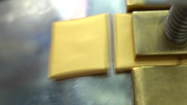 Righe Condimenti Cioccolatini Fabbricati Macchina Trasportatore Una Fabbrica Cioccolato Questa — Video Stock