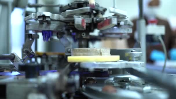 Bir Çikolata Fabrikasının Konveyöründe Makine Tarafından Üretilen Çikolatalar Için Çeşitli — Stok video