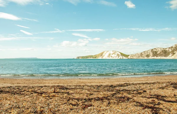 Yaz mevsiminde Dorset 'in Jurasik kıyıları.