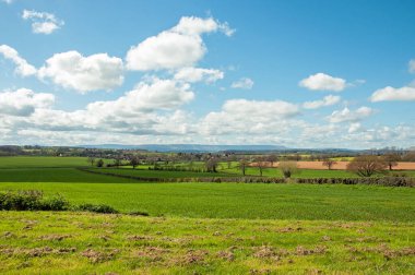 İngiltere 'nin Herefordshire kırsalında ilkbahar manzarası.