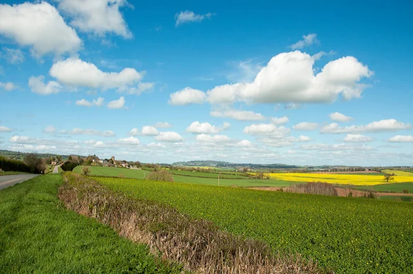 Wiosenny Krajobraz Herefordshire Wsi Anglii — Zdjęcie stockowe