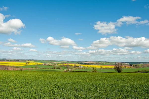 İngiltere 'nin Herefordshire kırsalında ilkbahar manzarası.