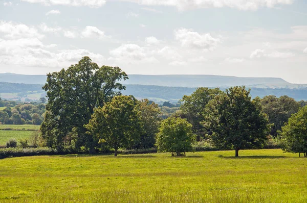 Весенний Пейзаж Английском Графстве Херефордшир — стоковое фото