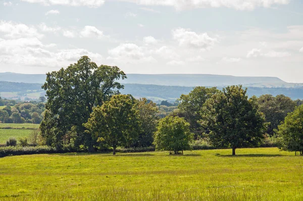 İngiltere 'nin Herefordshire kırsalında ilkbahar manzarası.