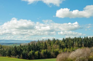 İngiliz kırsalında yaz manzarası ve ağaçlar.