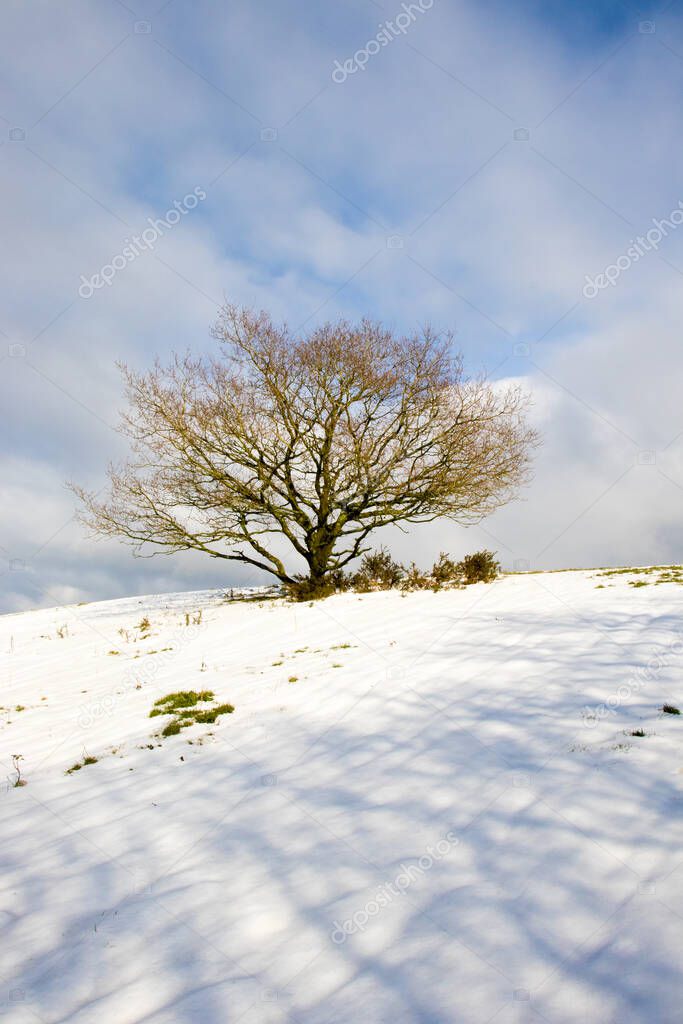 Malvern hills of England in the winter.