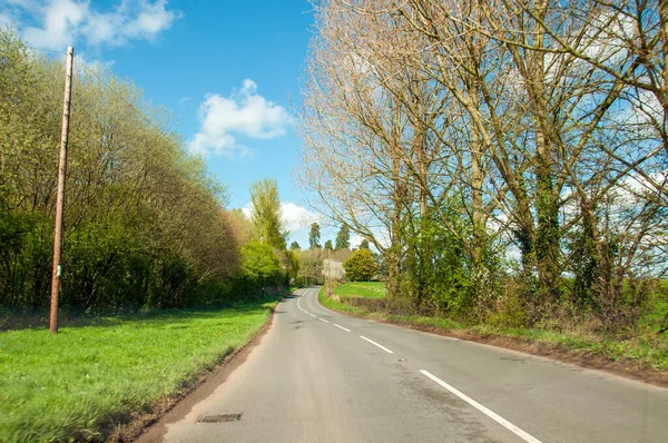 Yazın kırsal kesimde yol.