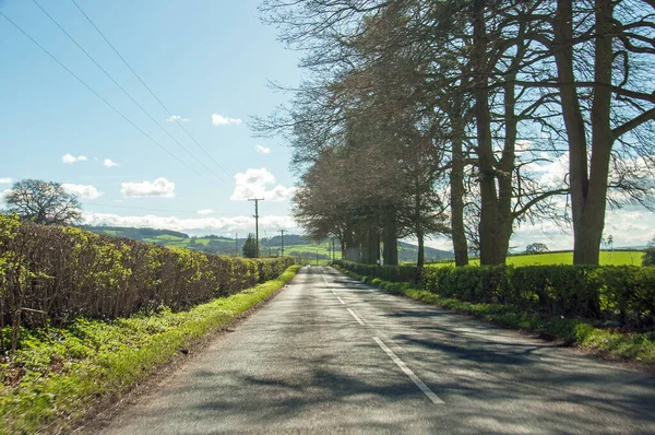 İngiltere 'de ilkbahar manzarası.