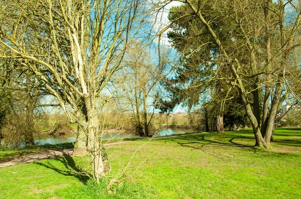 Springtime Scenery Ross Wye England — Foto Stock