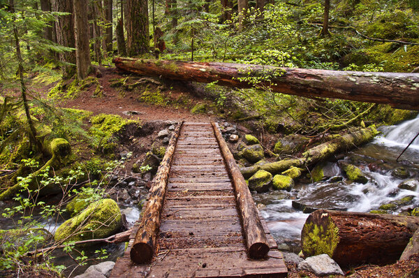 Closeup of Wooden Foot Bridge on hiking trail in mountain