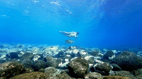 Foto Subaquática Menina Modelando Com Uma Tartaruga Marinha Nas Águas — Fotografia de Stock