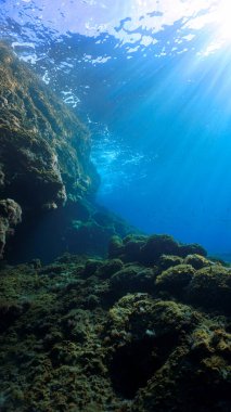 Resifin üzerindeki güneş ışınlarının sanatsal ve güzel sualtı fotoğrafı. Tüplü dalıştan.