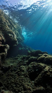 Resifin üzerindeki güneş ışınlarının sanatsal ve güzel sualtı fotoğrafı. Tüplü dalıştan.