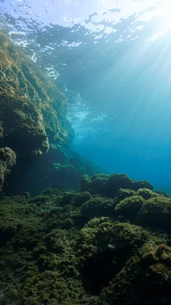 Foto Artística Hermosa Bajo Agua Rayos Luz Solar Sobre Arrecife — Foto de Stock