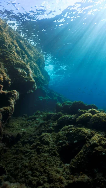 Художнє Красиве Підводне Фото Променів Сонячного Світла Над Рифом Занурення — стокове фото
