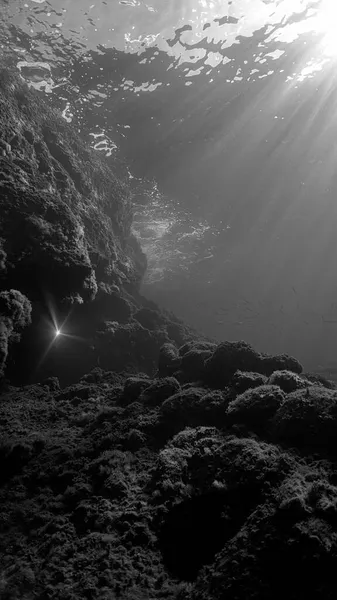 Foto Artística Hermosa Bajo Agua Rayos Luz Solar Sobre Arrecife — Foto de Stock