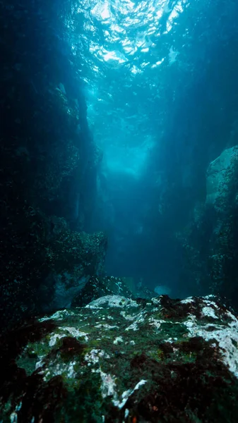 Underwater Landscape Alley Nice Light Scuba Dive — Stock Photo, Image