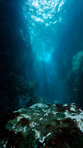 Paisaje Submarino Callejón Buena Luz Una Inmersión —  Fotos de Stock