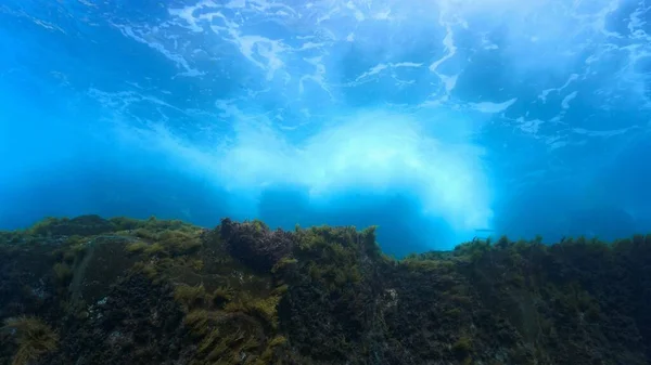 수중에서 파도에 만들어 아름다운 소용돌이 스쿠버 다이빙 에서요 럭셔리 인테리어 — 스톡 사진