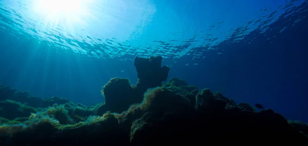 Mindfulness Onderwater Een Scuba Duik Het Rif Stralen Van Prachtig — Stockfoto