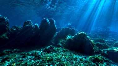 Sihirli manzaranın sualtı fotoğrafı ışık huzmelerindeki bir peri masalı gibi. Tüplü dalıştan.