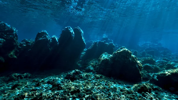 Podwodne Zdjęcie Magicznego Krajobrazu Jako Bajki Promieniach Światła Nurkowań — Zdjęcie stockowe