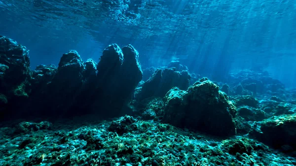 Underwater photo of magic landscape as a fairy tale in rays of light. From a scuba dive.