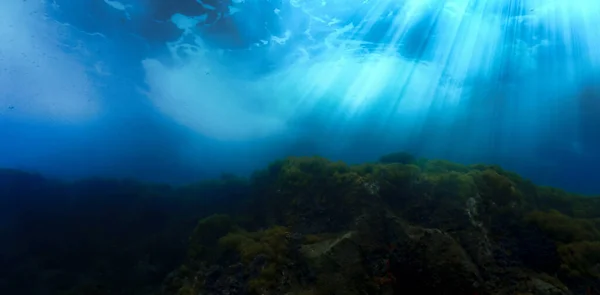 Художественное Подводное Фото Акваланга Вихря Волн Лучах Света — стоковое фото