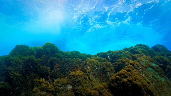 Foto Artística Subaquática Mergulho Vórtice Ondas Atingindo Recife Coral — Fotografia de Stock