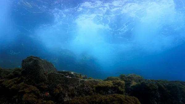 Художественное Подводное Фото Акваланга Вихря Волн Ударяющихся Коралловый Риф — стоковое фото
