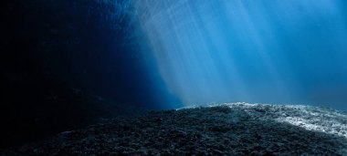 Underwater photo - rays of sunlight at the edge to the deep blue sea. From a scuba dive. clipart