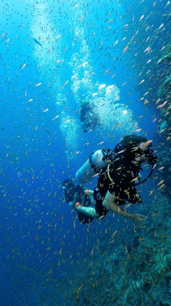 Підводне Фото Коралових Рифів Аквалангістів Дії — стокове фото