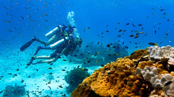 Foto Submarina Arrecifes Coral Buceadores — Foto de Stock
