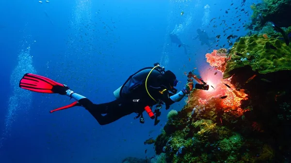 Підводний Фотограф Дії Кораловому Рифі — стокове фото