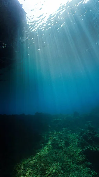 Podwodna Scena Błękitnym Morzu Pięknymi Promieniami Słońca — Zdjęcie stockowe