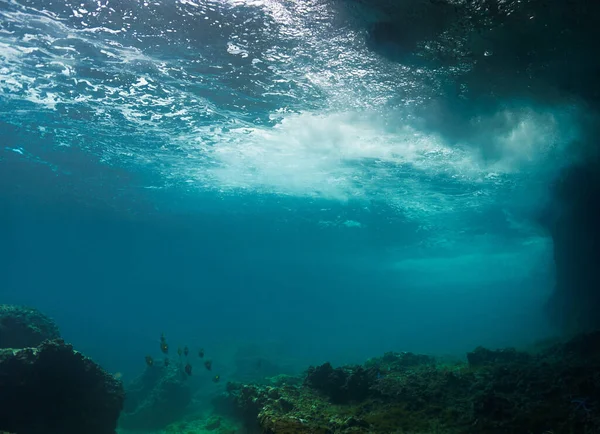 Víz Alatti Fotó Egy Sekély Korallzátonyról — Stock Fotó