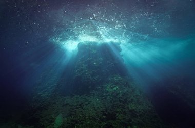 Resifin yüzeyinden süzülen ışığın güzel ve sihirli sualtı fotoğrafı. Tüplü dalıştan.