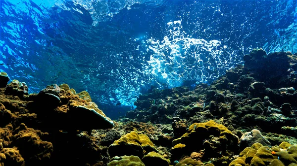 Art Sous Marin Avec Des Rayons Lumière Sur Récif Corallien — Photo
