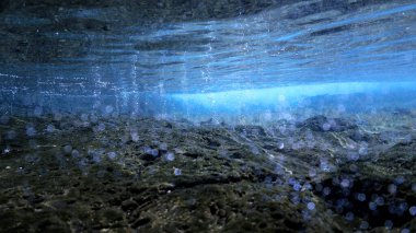 Lüks iç dizaynınız için su altı sanatı evinizde ya da ofisinizde. Mavi arka planı olan hava kabarcıkları. Denizde bir dalıştan.