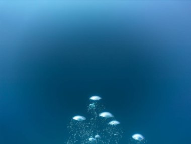 Lüks iç dizaynınız için su altı sanatı evinizde ya da ofisinizde. Mavi arka planı olan hava kabarcıkları. Denizde bir dalıştan.