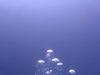 Lüks iç dizaynınız için su altı sanatı evinizde ya da ofisinizde. Mavi arka planı olan hava kabarcıkları. Denizde bir dalıştan.