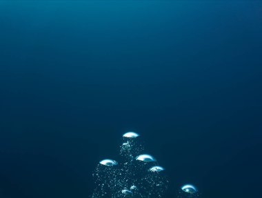 Lüks iç dizaynınız için su altı sanatı evinizde ya da ofisinizde. Mavi arka planı olan hava kabarcıkları. Denizde bir dalıştan.