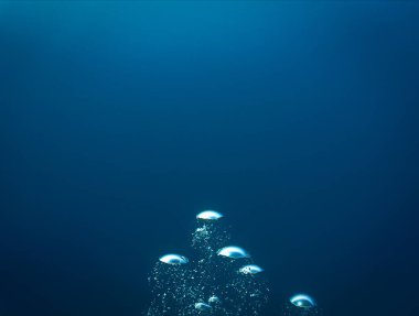 Lüks iç dizaynınız için su altı sanatı evinizde ya da ofisinizde. Mavi arka planı olan hava kabarcıkları. Denizde bir dalıştan.