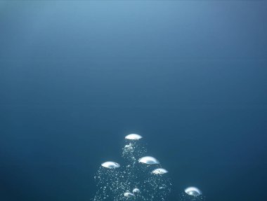 Lüks iç dizaynınız için su altı sanatı evinizde ya da ofisinizde. Mavi arka planı olan hava kabarcıkları. Denizde bir dalıştan.