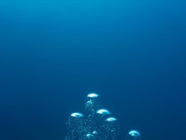 Lüks iç dizaynınız için su altı sanatı evinizde ya da ofisinizde. Mavi arka planı olan hava kabarcıkları. Denizde bir dalıştan.