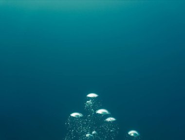Lüks iç dizaynınız için su altı sanatı evinizde ya da ofisinizde. Mavi arka planı olan hava kabarcıkları. Denizde bir dalıştan.