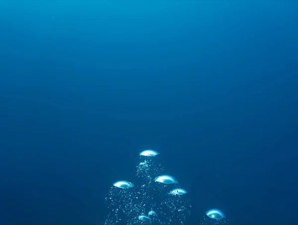 Sztuka Podwodna Luksusowego Wystroju Wnętrz Domu Lub Biurze Pęcherzyki Powietrza — Zdjęcie stockowe