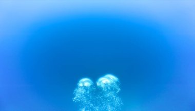 Lüks iç dizaynınız için su altı sanatı evinizde ya da ofisinizde. Mavi arka planı olan hava kabarcıkları. Denizde bir dalıştan.