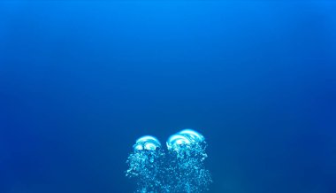 Lüks iç dizaynınız için su altı sanatı evinizde ya da ofisinizde. Mavi arka planı olan hava kabarcıkları. Denizde bir dalıştan.